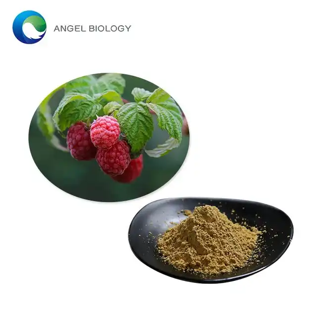 Discover Raspberry Extract Powder's Advantages: Leading Brands and Their Function in Weight Loss